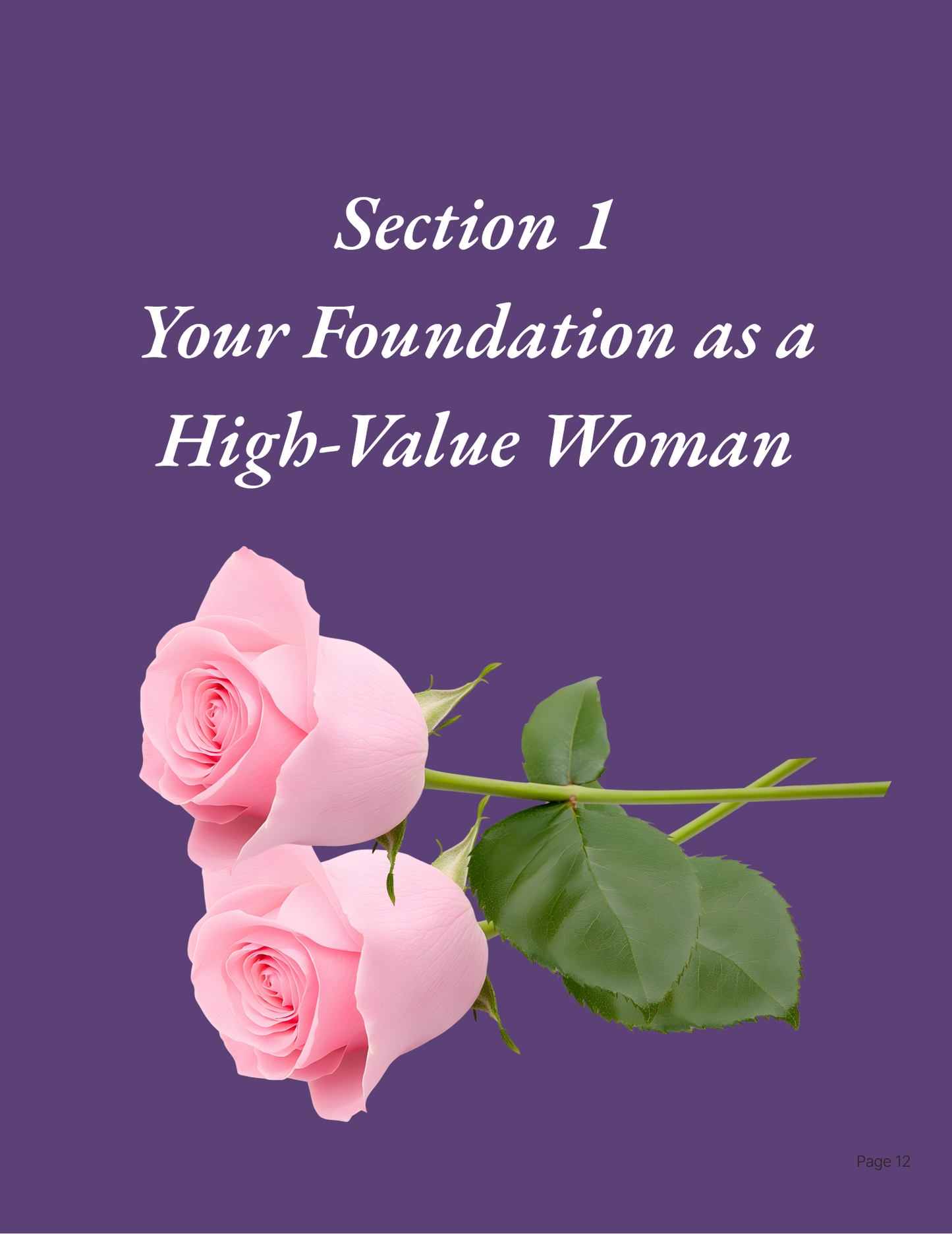 Title:  The Woman God Made You To Be - A 31 Day Devotional To Ignite Your Faith, Step Boldly Into Your Purpose and Transform Your Life